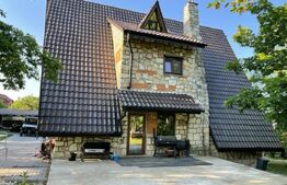 Casa DE VANZARE, 4 camere, 280mp utili, zona Iorga