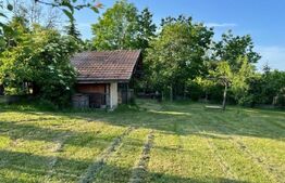 Casa DE VANZARE, 4 camere, 280mp utili, zona Iorga