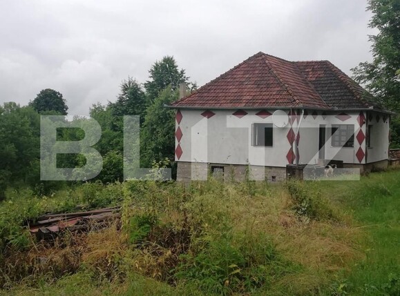 Casa de vânzare 2 camere Exterior Sud - 141674CV | BLITZ Oradea | Poza3