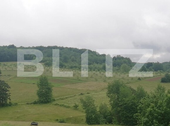 Casa de vânzare 2 camere Exterior Sud - 141674CV | BLITZ Oradea | Poza8