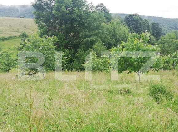 Casa de vânzare 2 camere Exterior Sud - 141674CV | BLITZ Oradea | Poza4