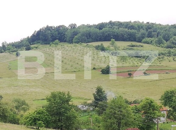 Casa de vânzare 2 camere Exterior Sud - 141674CV | BLITZ Oradea | Poza1