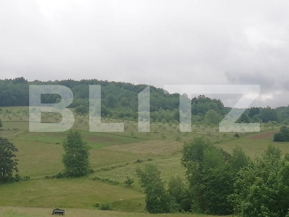 Casa de vânzare 2 camere Exterior Sud - 141674CV | BLITZ Oradea | Poza8