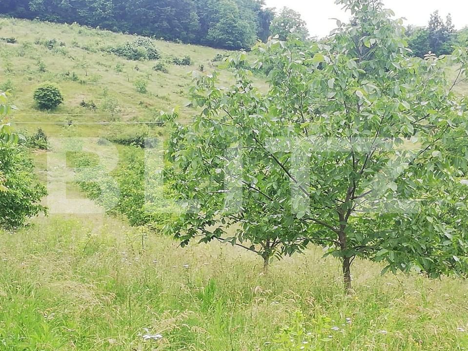 Casa de vânzare 2 camere Exterior Sud - 141674CV | BLITZ Oradea | Poza7