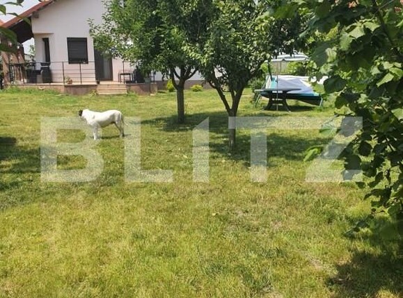 Casa de vânzare 5 camere Exterior Vest - 141676CV | BLITZ Oradea | Poza12