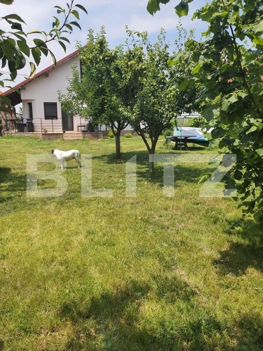 Casa de vânzare 5 camere Exterior Vest - 141676CV | BLITZ Oradea | Poza12