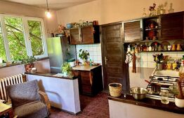 Casă în centru cu 4 cam. 148 mp utili și 750 mp teren cu vegetație