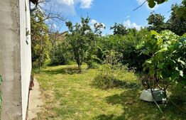 Casă în centru cu 4 cam. 148 mp utili și 750 mp teren cu vegetație