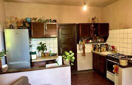 Casă în centru cu 4 cam. 148 mp utili și 750 mp teren cu vegetație