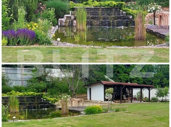 Casa de închiriat 4 camere Podgoria - 142862CI | BLITZ Oradea | Poza6