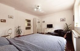 Oportunitate de investitie! Apartament Ultracentral, etaj 1, 35 mp.