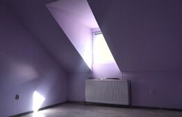 Casa deosebita cu 4 camere P+M de 140 de mp la curte comuna, ultracentrala!