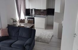 Apartament 3 camere, zona Nufarul