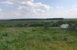 Casă la tara 2 camere in Vaida cu gradina de 2300 mp