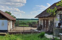 Casă la tara 2 camere in Vaida cu gradina de 2300 mp