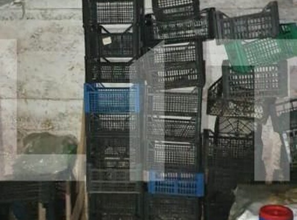 Casa de vânzare 2 camere Nord - 143881CV | BLITZ Oradea | Poza8