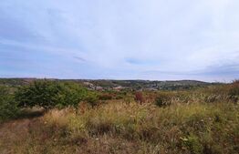Oportunitate! Teren 3030 mp, zona Gheorghe Doja