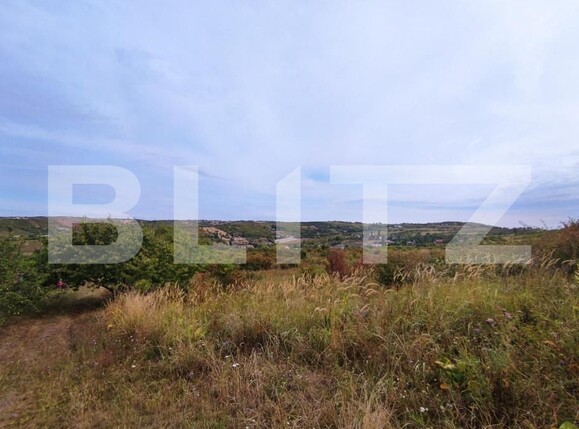 Teren de vânzare Dealuri Oradea - 144578TV | BLITZ Oradea | Poza1