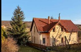 Casa fsi teren in Podgoria sau schimb cu apartament cu 2 camere 