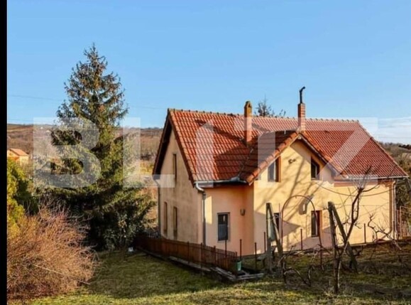 Casa de vânzare 3 camere Podgoria - 146645CV | BLITZ Oradea | Poza5