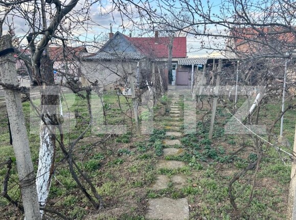 Casa de vânzare 3 camere Episcopia Bihorului - 146895CV | BLITZ Oradea | Poza12