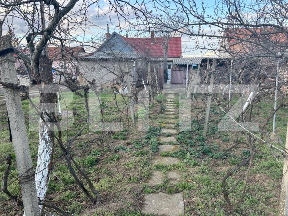 Casa de vânzare 3 camere Episcopia Bihorului - 146895CV | BLITZ Oradea | Poza12