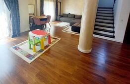 Casa mobilata si utilata, curte proprie, in cartierul Europa