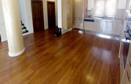 Casa mobilata si utilata, curte proprie, in cartierul Europa