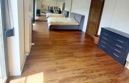 Casa mobilata si utilata, curte proprie, in cartierul Europa