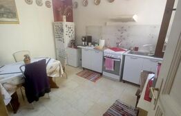 Casa familiala cu 3 apartamente de 2 si 3 camere, 216 mp utili,Sirul Canonicilor