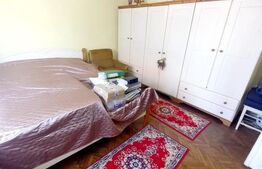 Casa familiala cu 3 apartamente de 2 si 3 camere, 216 mp utili,Sirul Canonicilor