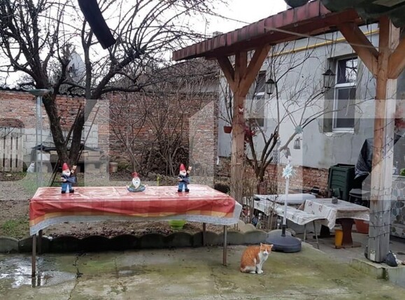 Casa de vânzare 2 camere Cetatii - 146941CV | BLITZ Oradea | Poza8