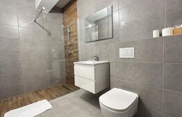 Apartament 2 camere, mobilat si uitlat, 60 mp, cartier Luceafarul