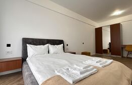 Apartament 2 camere, mobilat si uitlat, 60 mp, cartier Luceafarul