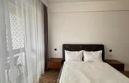Apartament 2 camere, mobilat si uitlat, 60 mp, cartier Luceafarul