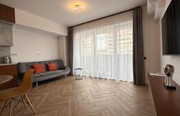 Apartament 2 camere, mobilat si uitlat, 60 mp, cartier Luceafarul