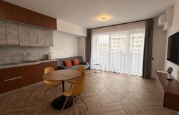 Apartament 2 camere, mobilat si uitlat, 60 mp, cartier Luceafarul