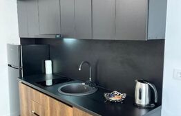 Apartament de 2 camere, terasa de 42 mp, cartier Luceafarul