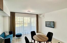 Apartament de 2 camere, terasa de 42 mp, cartier Luceafarul