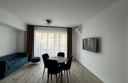 Apartament de 2 camere, 50 mp cu 30 mp terasa, cartier Luceafarul
