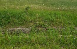 Investitie! Teren intravilan, 6000 mp, in satul turistic Bratca