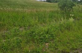 Investitie! Teren intravilan, 6000 mp, in satul turistic Bratca