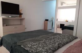 Garsoniera decomandata, 39 mp, Nufarul, preluare de chiriasi