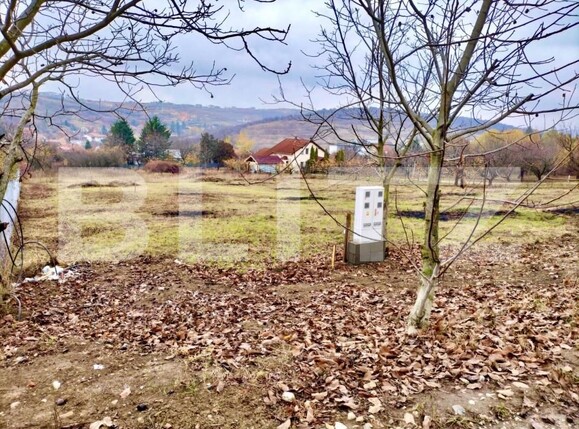 Teren de vânzare Dealuri Oradea - 147435TV | BLITZ Oradea | Poza1