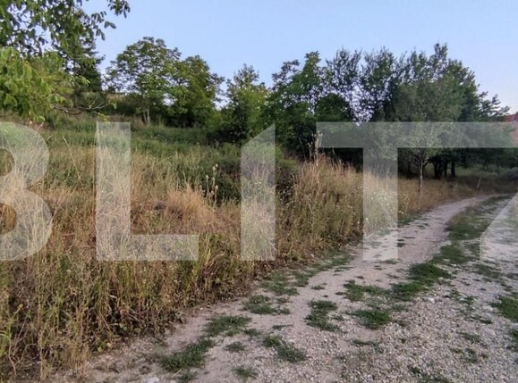 Teren de vânzare Dealuri Oradea - 147435TV | BLITZ Oradea | Poza8