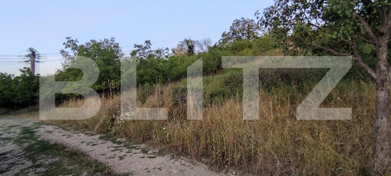 Teren de vânzare Dealuri Oradea - 147435TV | BLITZ Oradea | Poza7