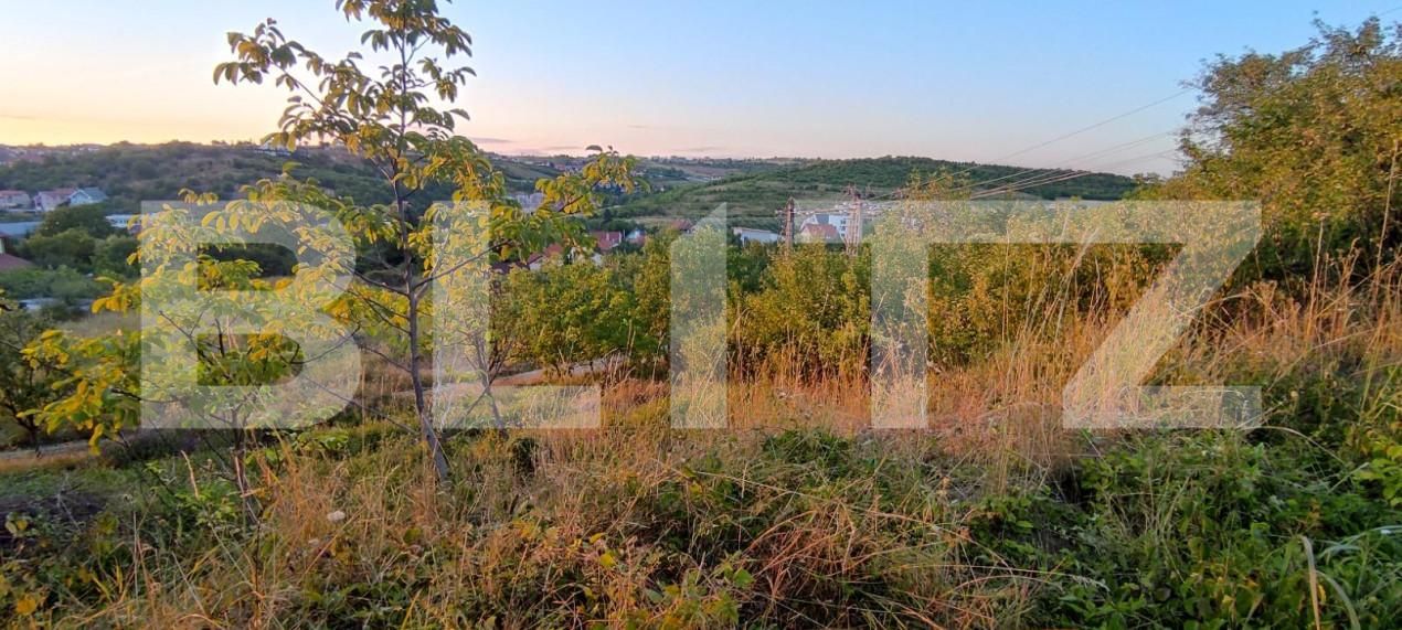 Teren de vânzare Dealuri Oradea - 147435TV | BLITZ Oradea | Poza5