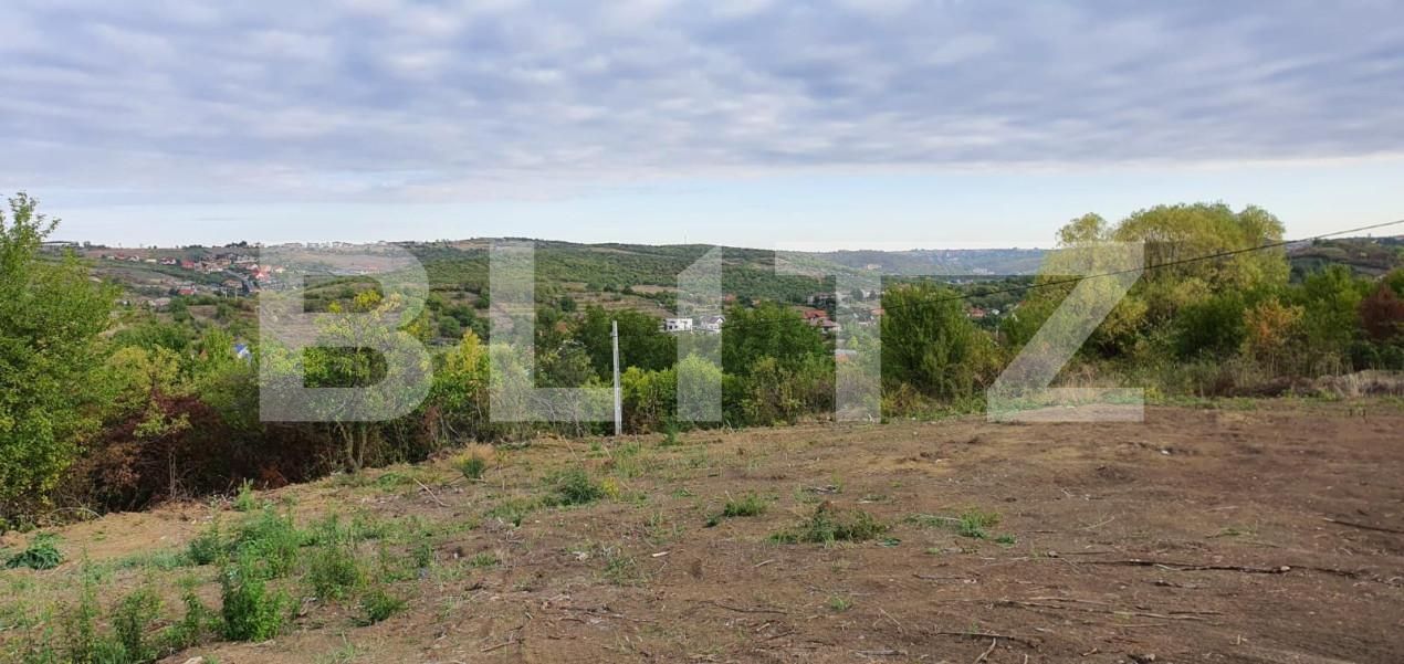 Teren de vânzare Dealuri Oradea - 147436TV | BLITZ Oradea | Poza3