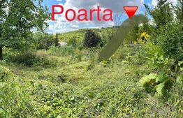 Ofertă! Teren în Podgoria intravilan de 4343 mp curent, gaz, apă și canalizare.
