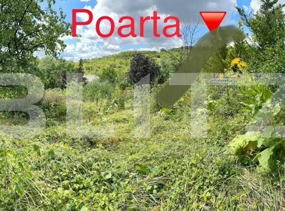 Teren de vânzare Podgoria - 147438TV | BLITZ Oradea | Poza3